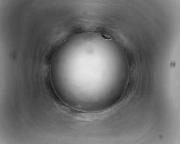 X0000102380033200808011547