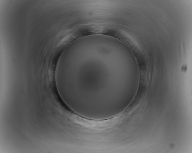 X0000102380035200808011547