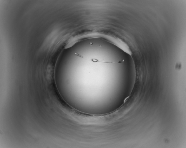 X0000102380036200808011547