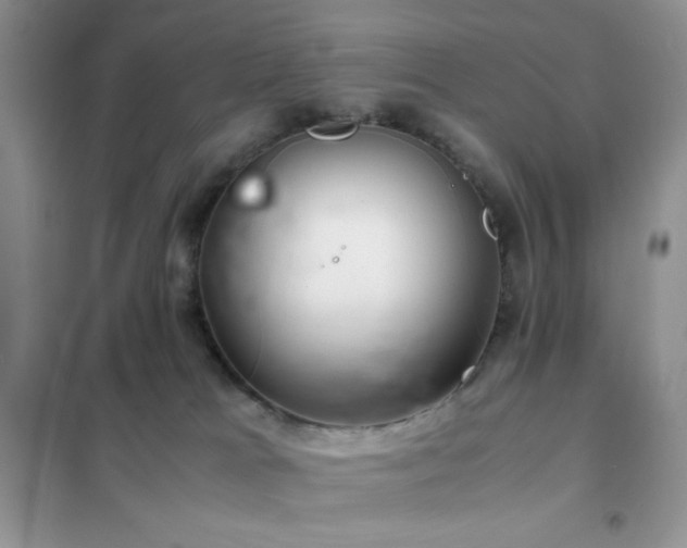 X0000102380037200808011547