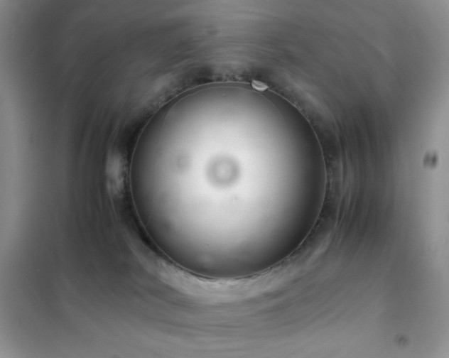 X0000102380038200808011547