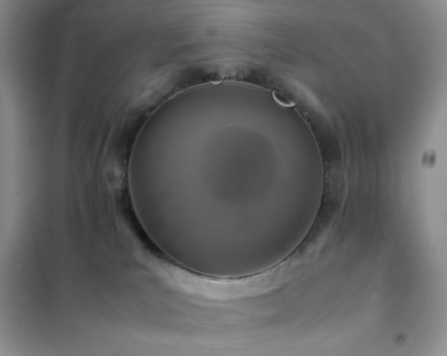 X0000102380039200808011547
