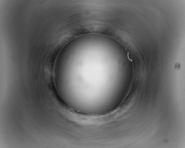 X0000102380040200808011547