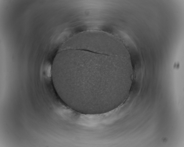 X0000102380041200808011547