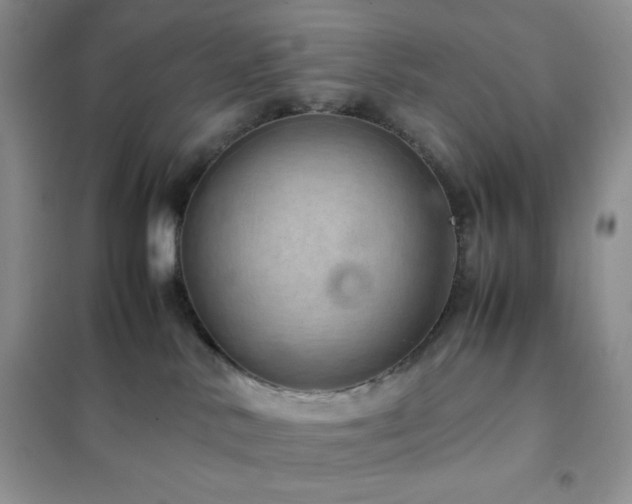 X0000102380042200808011547