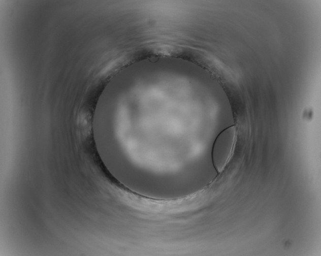 X0000102380043200808011547