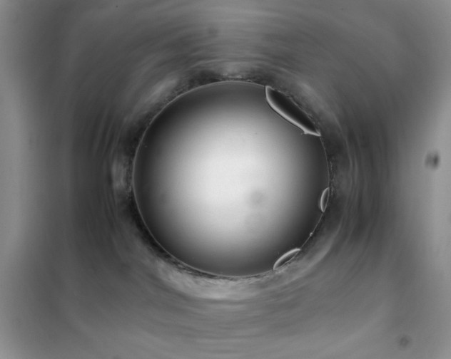 X0000102380044200808011547