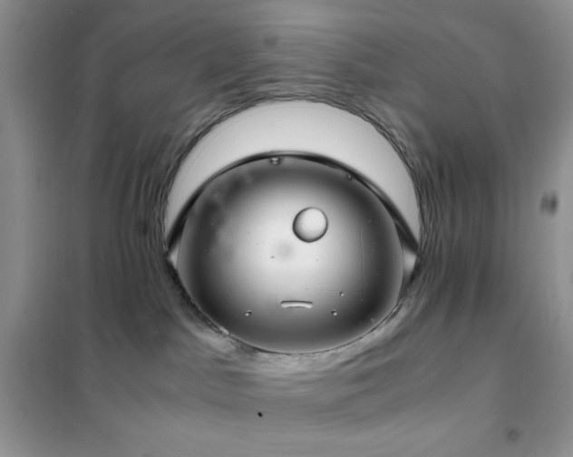X0000102380045200808011547