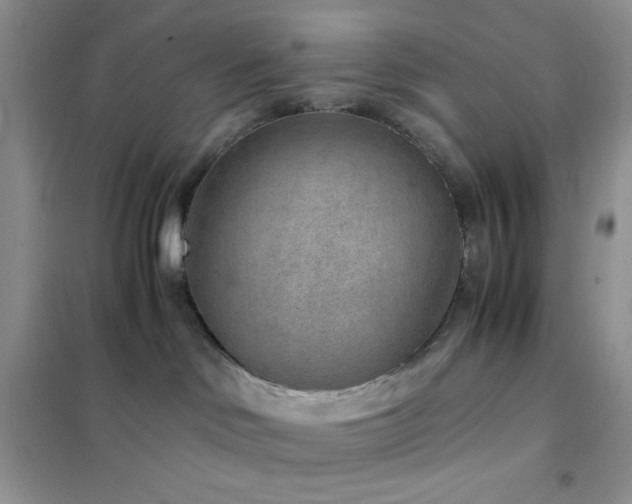 X0000102380046200808011546