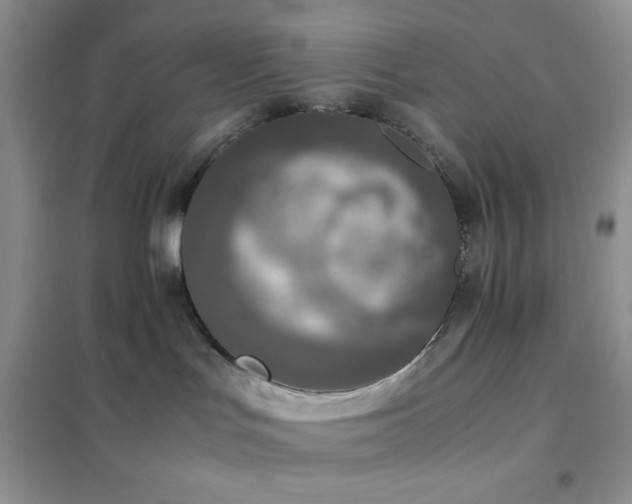 X0000102380047200808011546