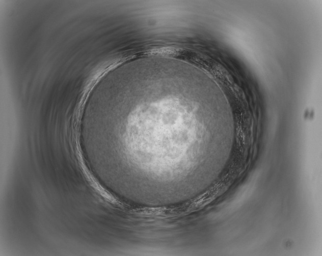 X0000102380049200808011546