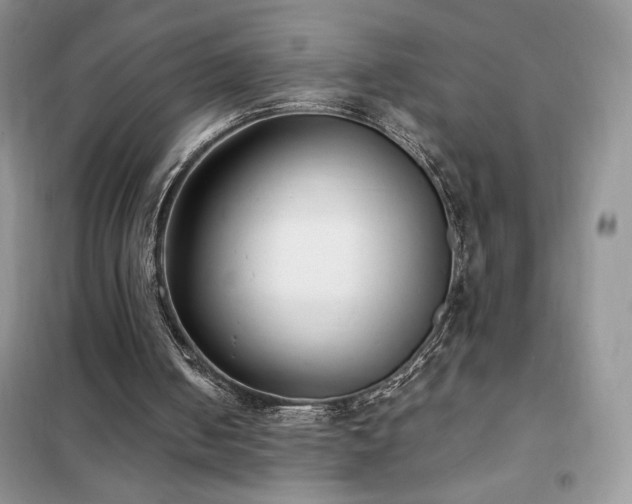 X0000102380050200808011546