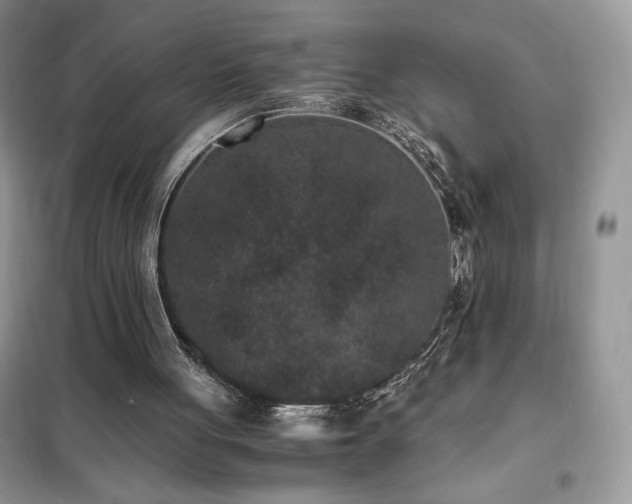X0000102380051200808011546