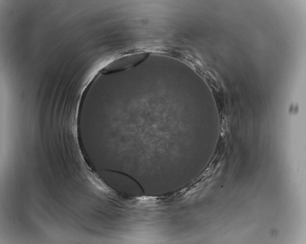 X0000102380052200808011546