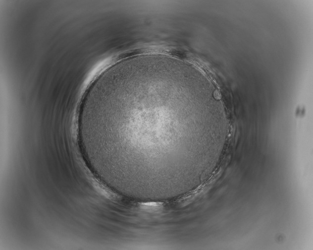 X0000102380053200808011546