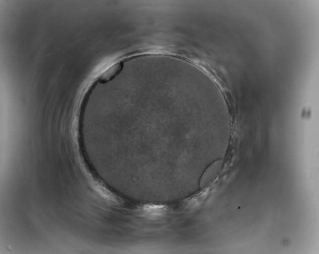 X0000102380055200808011546
