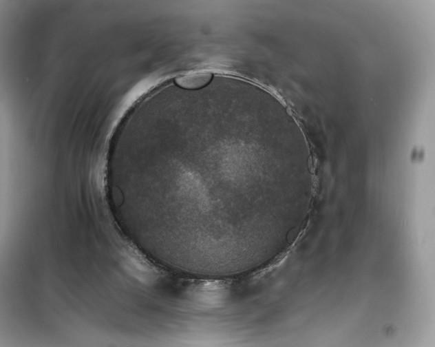 X0000102380056200808011546