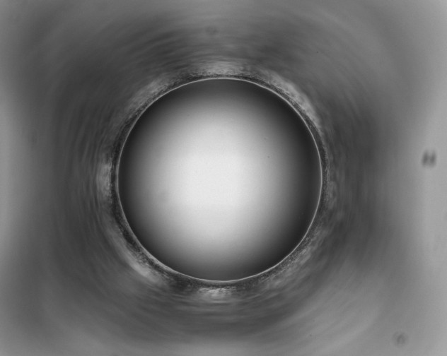 X0000102380057200808011546