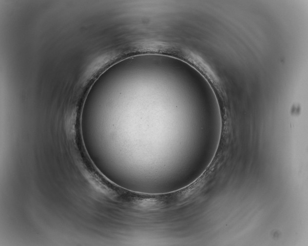 X0000102380058200808011546