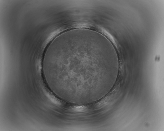 X0000102380059200808011546
