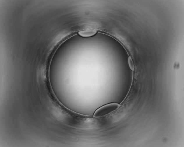 X0000102380060200808011546