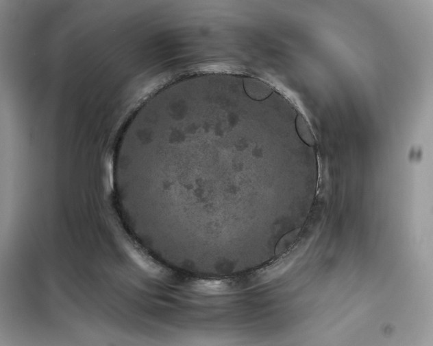 X0000102380061200808011546