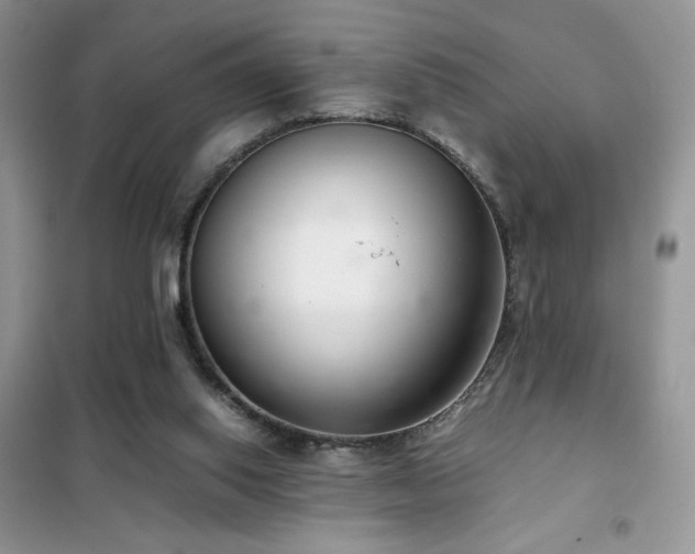 X0000102380062200808011546