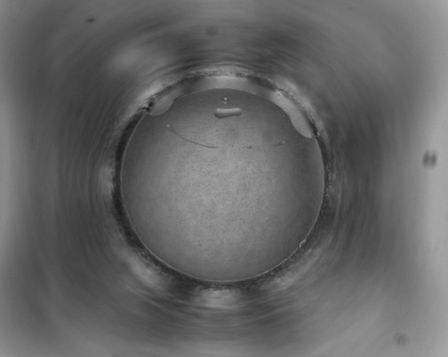 X0000102380063200808011546