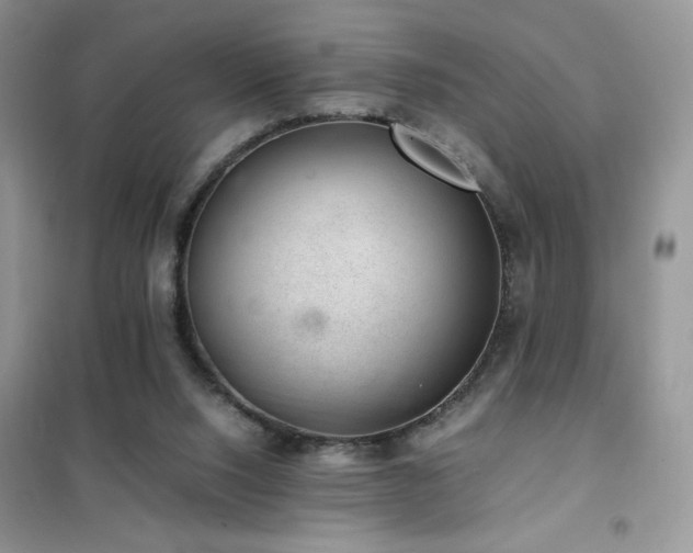 X0000102380064200808011546