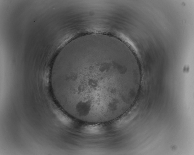 X0000102380065200808011546