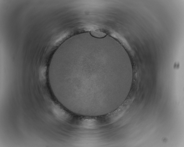 X0000102380066200808011546