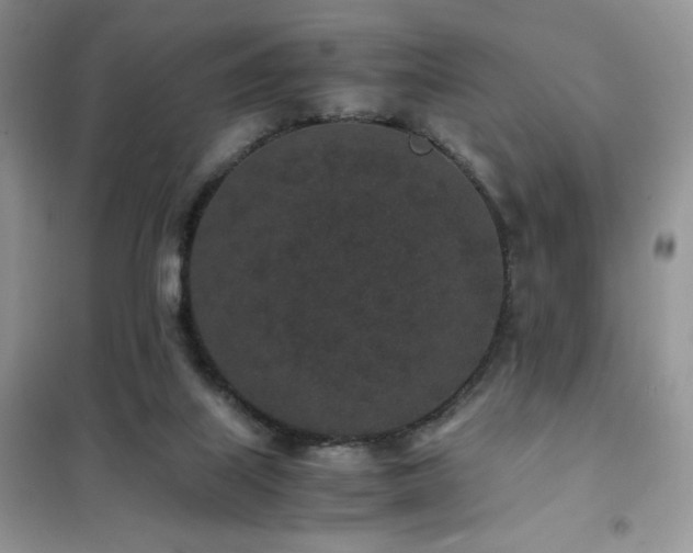 X0000102380067200808011546
