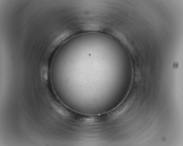 X0000102380068200808011546