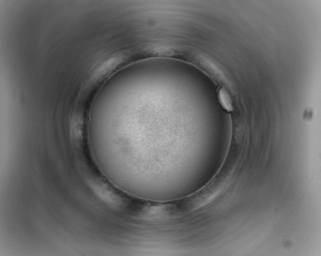 X0000102380072200808011546