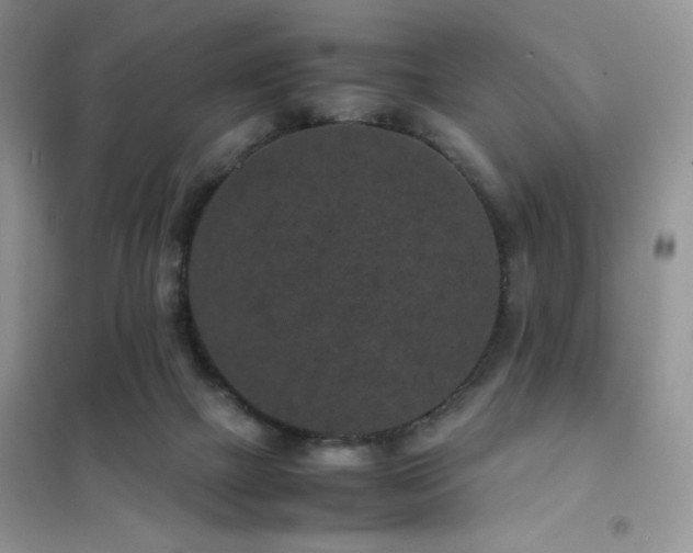 X0000102380073200808011546