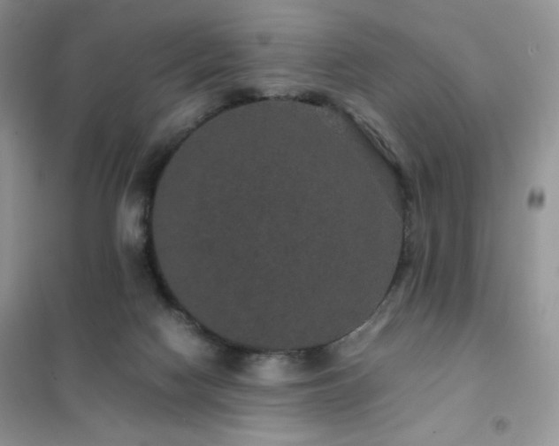 X0000102380074200808011546