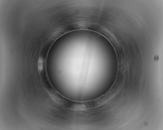 X0000102380075200808011546