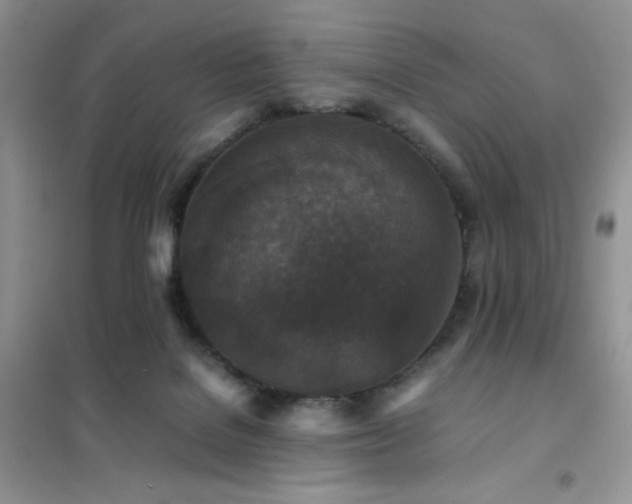 X0000102380076200808011546