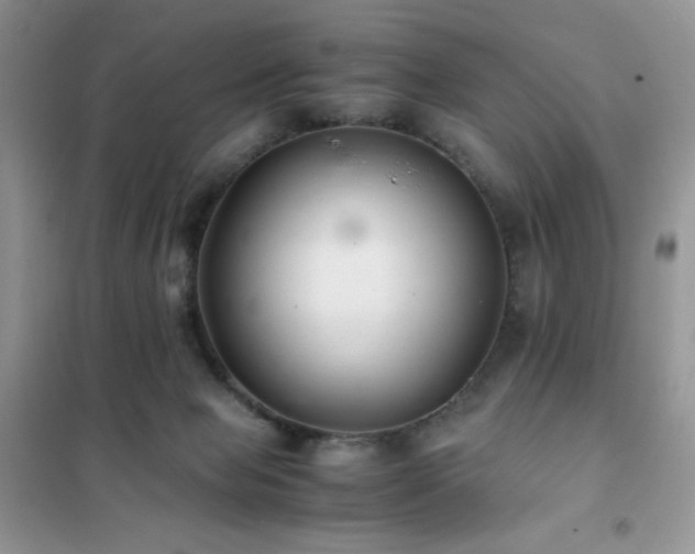 X0000102380077200808011546
