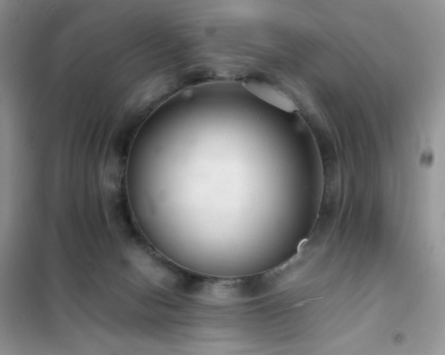 X0000102380078200808011546