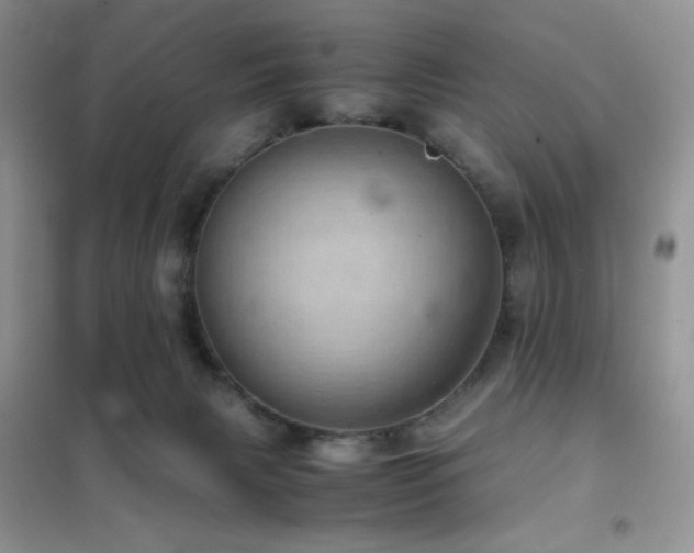 X0000102380079200808011546