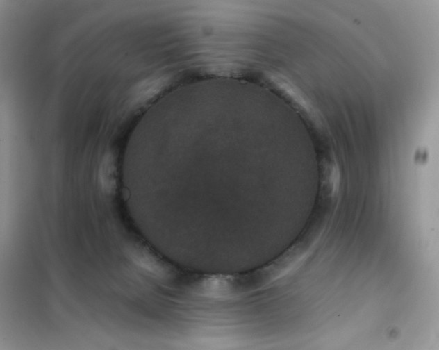 X0000102380080200808011546