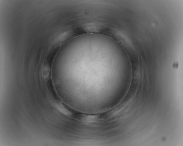 X0000102380081200808011546