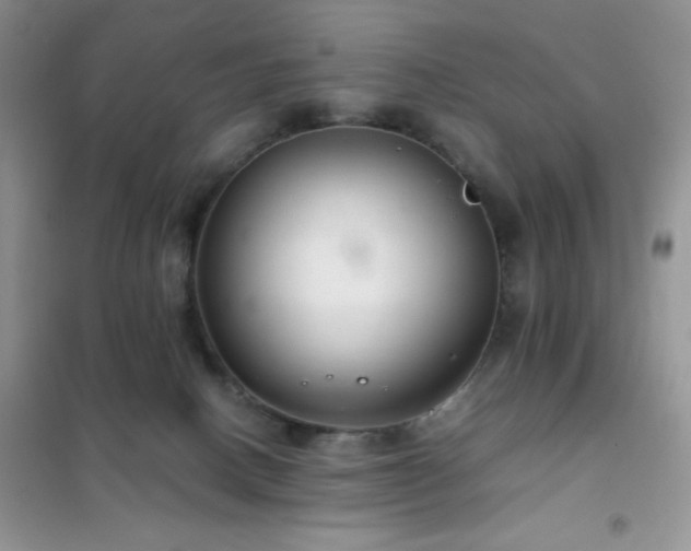 X0000102380082200808011546