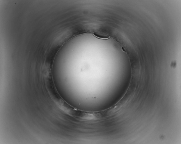 X0000102380083200808011546