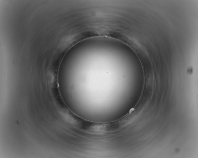 X0000102380084200808011546