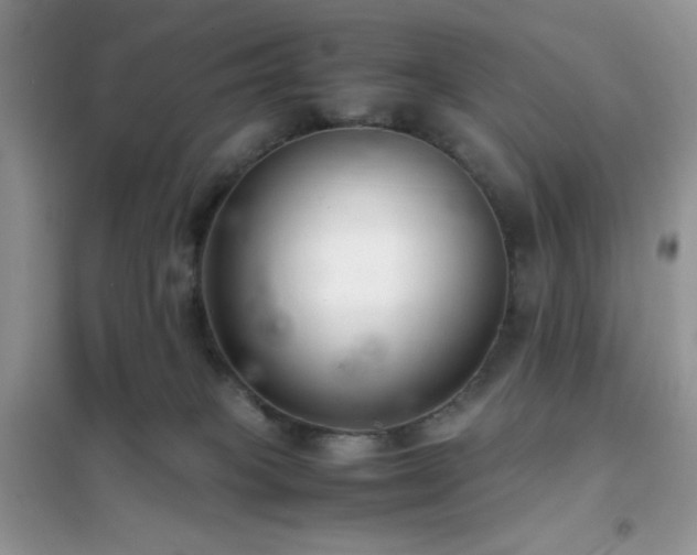 X0000102380085200808011546