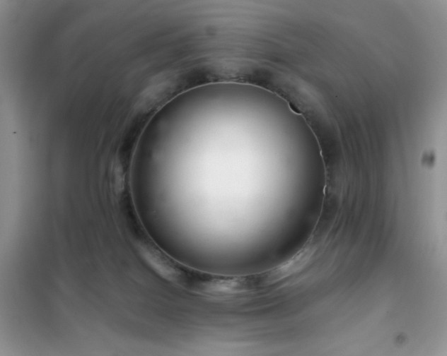 X0000102380086200808011546