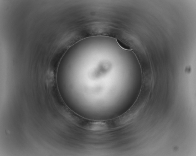 X0000102380087200808011546