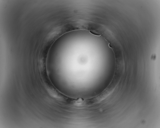 X0000102380088200808011546